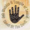 Cover Jah Wobble & Temple Of Sound - Zaardub Jah Wobble & Temple Of Sound - Zaardub