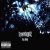 Cover Gravediggaz - Have Definitely Established