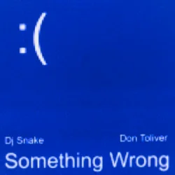Cover DJ Snake & Don Toliver - Something Wrong