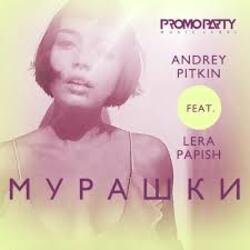 Cover Andrey Pitkin feat. Lera Papish - Мурашки