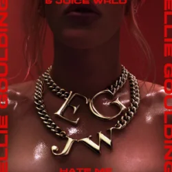 Cover Ellie Goulding & Juice WRLD - Hate Me