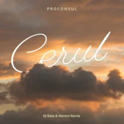 Cover Proconsul - Cerul (Dj Razz & Mentol Remix)