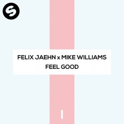 Cover Felix Jaehn x Mike Williams - Feel Good