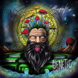 Cover Psydewise - Genetic Reflection