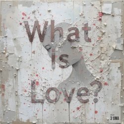 Cover What Is Love (Serge Gri Tech ver cover)