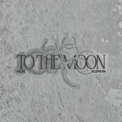 Cover Alok & ILLENIUM - To The Moon