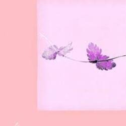 Cover Alina Orlova - Einu