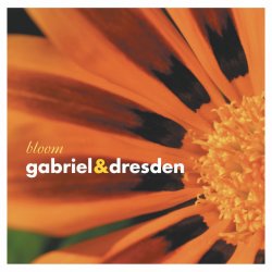 Cover Gabriel & Dresden - Lament