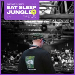 Cover DJ Hybrid - Jungle Man