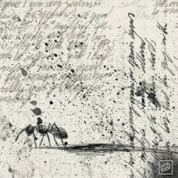 Cover Jolliffe & Kublai & Verbz - Frames