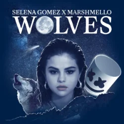 Cover Selena Gomez & Marshmello - Wolves (TCM Hardstyle Remix)