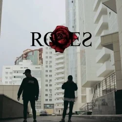 Cover Saint Jhn & Imanbek - Roses