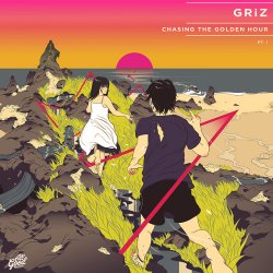 Cover GRiZ ft. Russ Liquid - Love Will Follow You