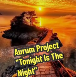 Cover Aurum Project - Tonight Is The Night