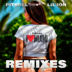 Cover Pitbull & Lil Jon - Damn I Love Miami (Apollo XO Remix)