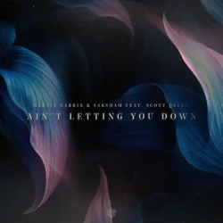 Cover Martin Garrix & Saksham & Scott Quinn - Ain't Letting You Down