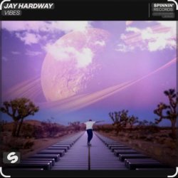 Cover Jay Hardway - Vibes