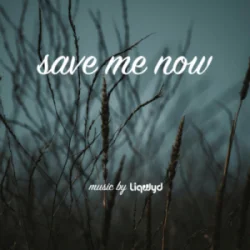 Cover LiQWYD - Save me now
