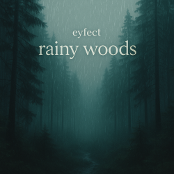 Cover eyfect - rainy woods