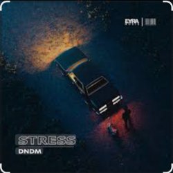 Cover DNDM - Stress
