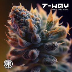 Cover T-Kay - Ganjah VIP (Original Mix)