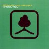 Cover SCHILLER with Heppner - I feel you SCHILLER with Heppner - I feel you