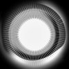Cover Disclosure - Moonlight Disclosure - Moonlight