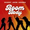 Cover Shaggy & Akon & Aidonia - Boom Body Shaggy & Akon & Aidonia - Boom Body