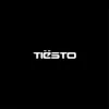 Cover Tiësto & FORS - Bring Me To Life Tiësto & FORS - Bring Me To Life