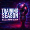 Cover Dua Lipa - Training Season (Eliza May Remix) Dua Lipa - Training Season (Eliza May Remix)