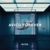 Cover Avicii - Wake Me Up Avicii - Wake Me Up