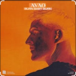 Cover AVAO - Burn Baby Burn (Extended Mix)