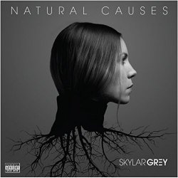 Cover Skylar Grey - Jump