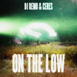 Cover Dj Remo & CERES - On The Low