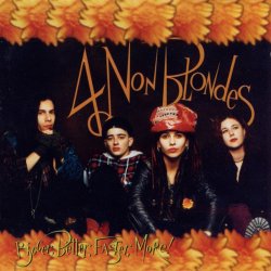 Cover 4 Non Blondes - Train