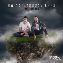 Cover Те100стерон - Мы покатились вниз