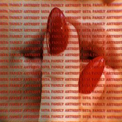 Cover 5sta Family - Антидот