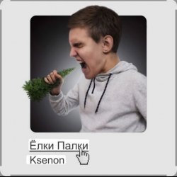 Cover Ksenon - Ёлки-палки