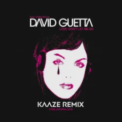 Cover David Guetta & Chris Willis - Love Don't Let Me Go (KAAZE Remix)