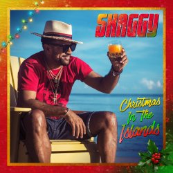 Cover SHAGGY feat. Jamila Falak - Christmas time