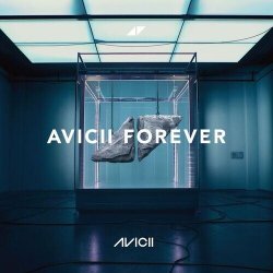 Cover Avicii - Wake Me Up
