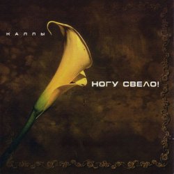 Cover Ногу свело! - Ave Maria