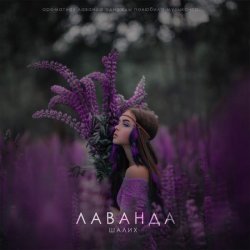 Cover Шалих - Лаванда