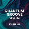 Cover Vexlum - Quantum Groove 009 Vexlum - Quantum Groove 009
