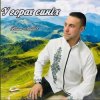 Cover ВАНЯ ЛАБАЧ - У ГОРАХ СИНІХ (ВАТРА) ВАНЯ ЛАБАЧ - У ГОРАХ СИНІХ (ВАТРА)