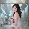 Chen Shu Ying - Don't Remember the Old Dreams