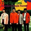 Cover The Beatles - Strawberry Fields Forever The Beatles - Strawberry Fields Forever