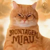 Cover Lenar - Montagem Miau Lenar - Montagem Miau