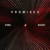 Cover DVBBS & Badger - Promises DVBBS & Badger - Promises