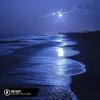 Cover Alosa, Booty Leak, Elle Blue - One Night Alosa, Booty Leak, Elle Blue - One Night